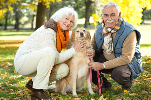 senior couple with dog in the park